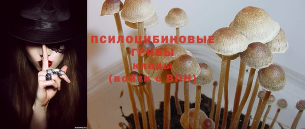 MDMA Новозыбков