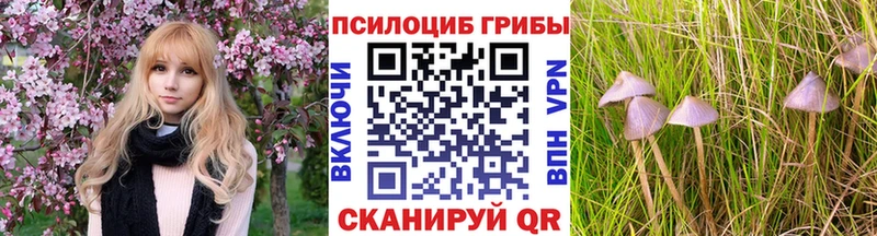 закладки  нарко площадка клад  Псилоцибиновые грибы мухоморы  Карабаново 